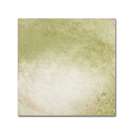 Marcee Duggar 'Soft Wallpaper Green' Canvas Art,18x18